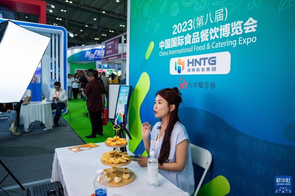 澳门一号网址是多少